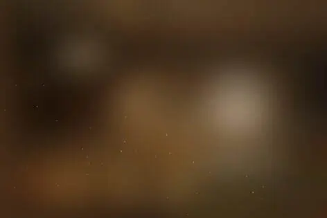 Квест «Домик для принцесс» от Как в кино