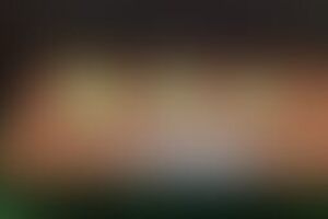 Фотография квеста Маша и медведь от компании Shikana (Фото 1)